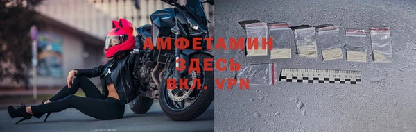 мдпв Вяземский