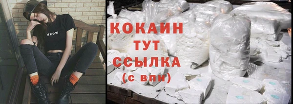 мдпв Вяземский