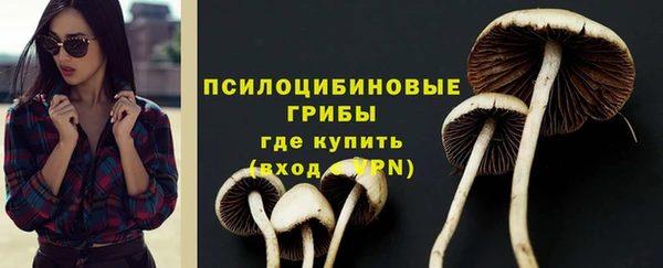мяу мяу мука Вязники