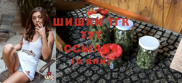 шишки Горнозаводск
