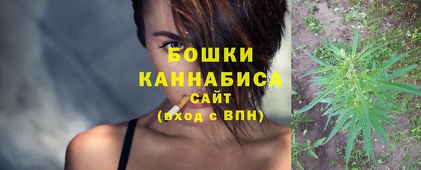 шишки Горнозаводск
