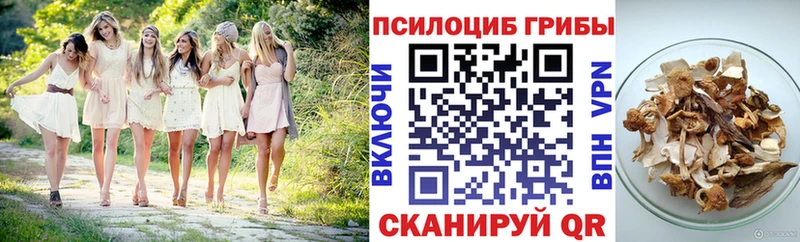 Псилоцибиновые грибы прущие грибы  Певек 